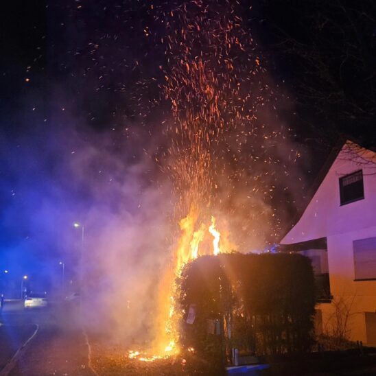 Auf einer Länge von acht bis zehn Metern brannte diese Hecke in der Rudolfshofer Straße in Lauf.