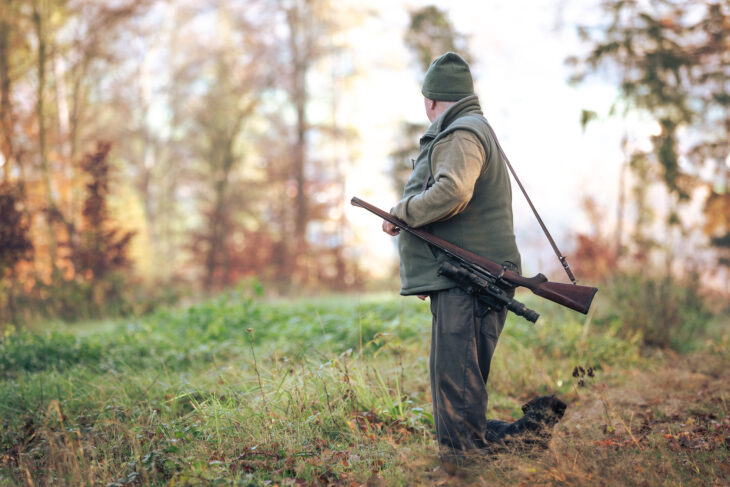 Geht es nach dem Bund Naturschutz, soll das Jagdgesetz nicht novelliert werden. Nur so könnten massive Verbissbelastungen reduziert werden und ein gesunder Mischwald könnte entstehen.