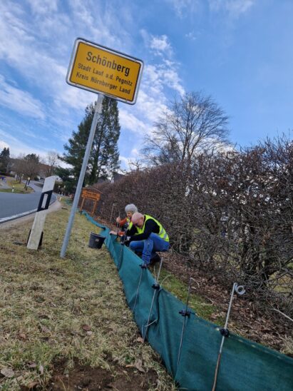 Auf ihren alljährlichen kilometerlangen Wanderungen zu den Laichplätzen sind viele Amphibien durch Landschaftszerschneidung und Straßenbau großen Gefahren ausgesetzt.