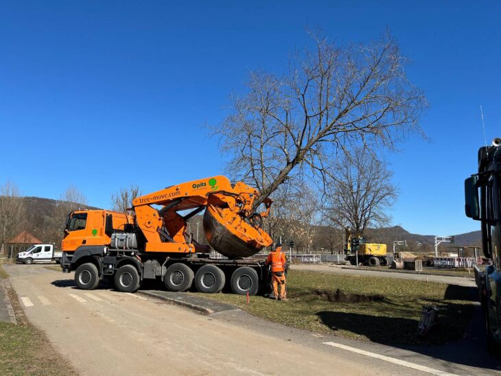 Mit ihrer selbst entwickelten Rundspatenmaschine gruben die europaweit tätigen Spezialisten aus Heideck die Linde beim Fußballkäfig am Chotieschauer Weg aus und versetzten sie auf den Verkehrsübungsplatz.