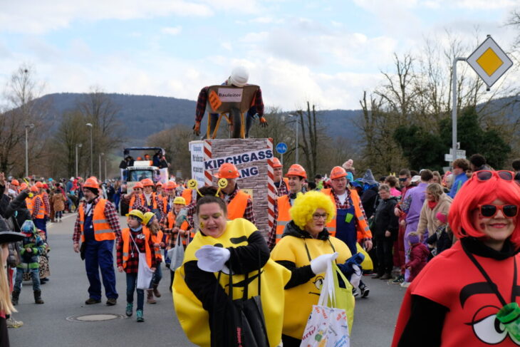 N-Land sucht die schönsten Faschingsbilder.