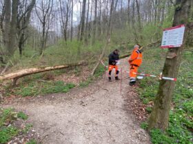 Der Abschnitt zwischen der Abzweigung zum Rundweg 3 und der Querung der Großviehbergstraße ist derzeit nicht passierbar.