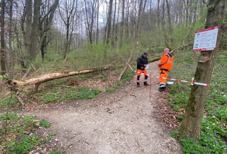 Der Abschnitt zwischen der Abzweigung zum Rundweg 3 und der Querung der Großviehbergstraße ist derzeit nicht passierbar.