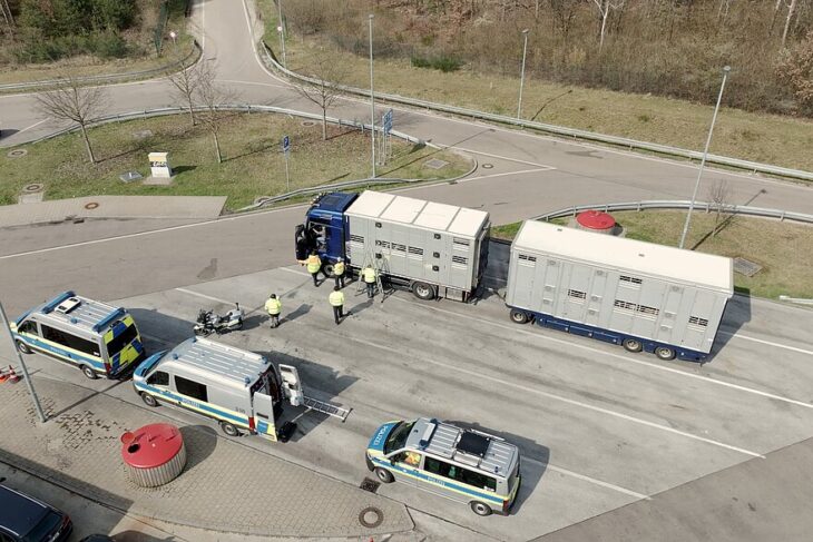 Am Parkplatz Ludergraben an der A3 kontrollierten Polizei und Veterinäramt sechs Stunden lang Tiertransporte.