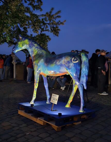 Die Kunst-Rappen der Lebenshilfe sorgten auf der Blauen Nacht in Nürnberg für Aufsehen.