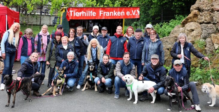 Viele Hundefreunde kamen mit ihren vierbeinigen Begleitern, darunter auch Tiere, die einst durch die Tierhilfe Franken vermittelt wurden.
