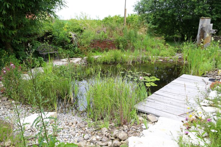 Gartenteiche kühlen die Umgebungstemperatur ab und bieten vielen Tieren eine wichtige Wasserquelle in Dürrezeiten.