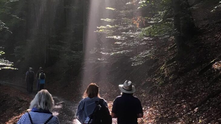 Rund um die Sonnenwende wird in der Hersbrucker Schweiz erstmals 24 Stunden lang gewandert.
