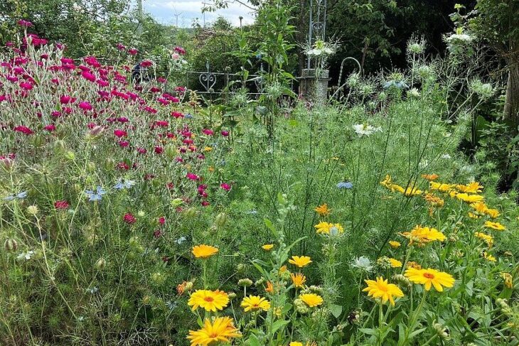 Im Landkreis Nürnberger Land präsentieren sich am 29. Juni von 10.00 bis 17.00 Uhr vier Gärten einem interessierten Gartenpublikum.