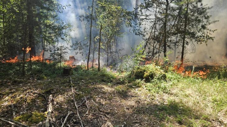Rund 600 bis 800 Quadratmeter Waldboden, schätzt die Laufer Polizei, haben am Sonntagnachmittag nahe des Letten Feuer gefangen.