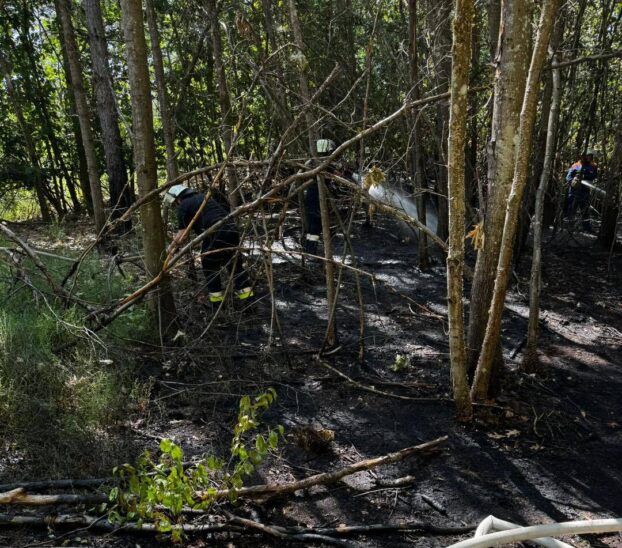 Schnell konnten die etwa 100 Einsatzkräfte der umliegenden Feuerwehren Schlimmeres verhindern und der Brand eingrenzen.