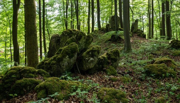 Das Areal oberhalb von Osternohe zeichnet sich unter anderem durch zahlreiche Felsformationen aus. Dieser Untergrund macht Probebohrungen erforderlich.