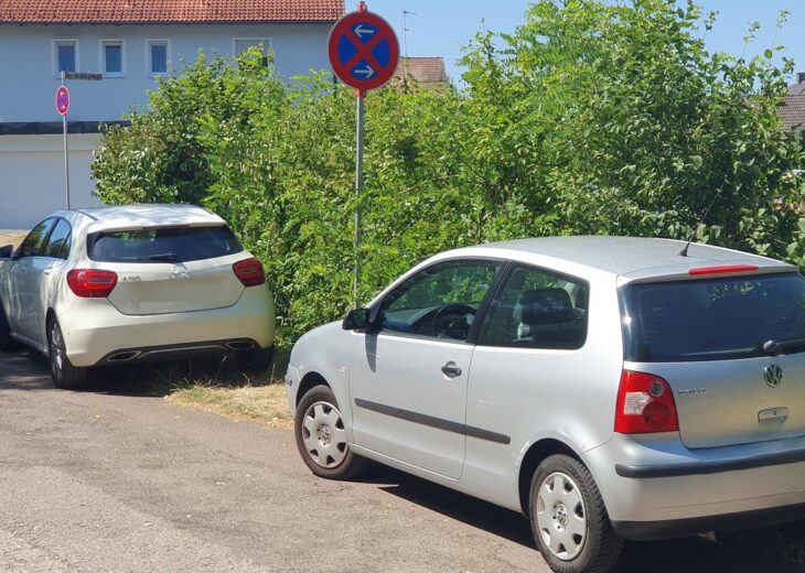 Trotz Halteverbotsschildern parken manche Besucher des Weißenbrunner Naturbads am Straßenrand – ein großer Dorn im Auge der Gemeinde Leinburg.