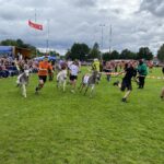 Manche Esel lieferten sich spannende Kopf-an-Kopf-Rennen.