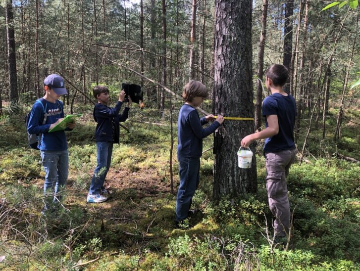 Vor Ort im Röthenbacher Wald: 100 Schüler des Leibniz-Gymnasiums kartierten Bäume im Reichswald und erfassten damit die verschiedenen Arten.