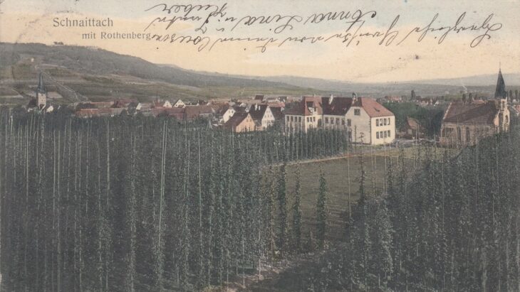 Diese historische Postkarte aus dem Jahr 1909 zeigt, wie viel Hopfen damals rund um Schnaittach wuchs (links oben ist der Rothenberg zu erkennen). Sie stammt aus der Sammlung von Franz Semlinger vom Heimat- und Geschichtsverein.