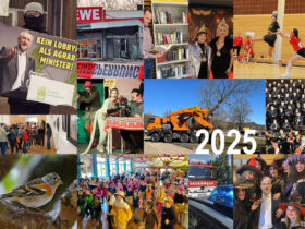 Fotos: Animal Rebellion - Andreas Sichelstiel - Wolfgang Ferschl-Nürnberger Luftflotte des Prinzen Karneval - Alexander Elsner - Stadt Hersbruck - Chapeau Claque - Julia Hornung - Jürgen Lassauer - 
Andrea Bauer - Günther Wollmann - PZ Archiv - Andreas Kirchmayer/Stadt Lauf - Günther Wollmann
