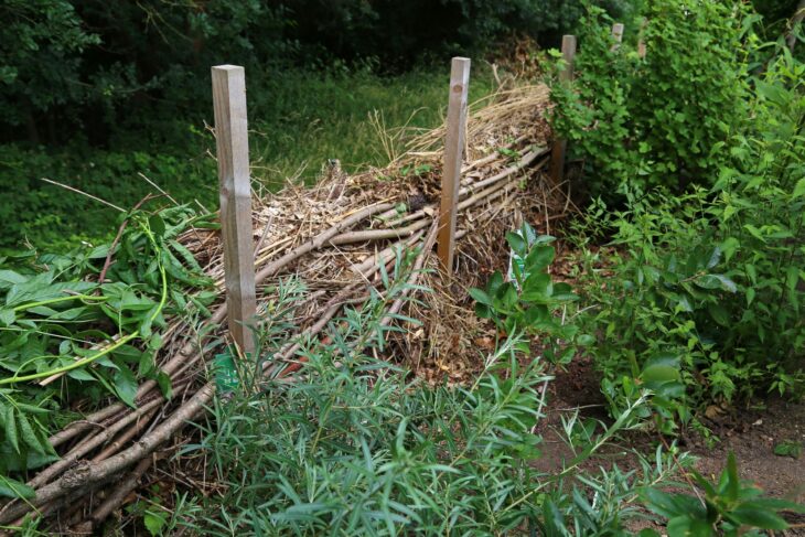 Sinnvoll nutzen anstatt illegal entsorgen: Eine Benjes-Hecke aus Astabschnitten bietet wichtigen Lebensraum.