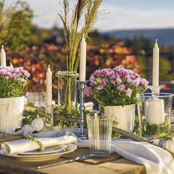 Chrysanthemen und Heide sind ein vielseitiger herbstlicher Schmuck. Foto: Carola Thieme