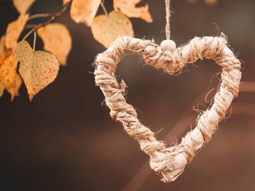 AdobeStock_231952830--sc-Fotografie