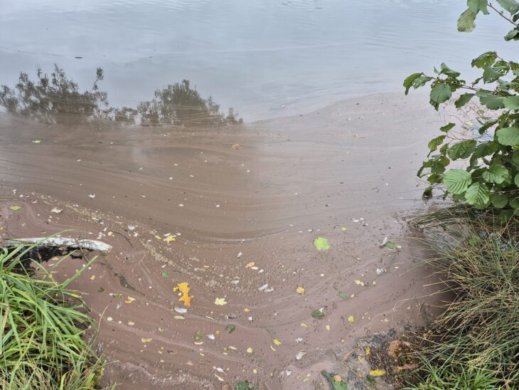 Burgunderblutalgen (eine Untergruppe der Blaualgen) können gesundheitliche Schäden bei Mensch und Tier verursachen. Das Gesundheitsamt rät daher vom Baden im Baggersee ab.