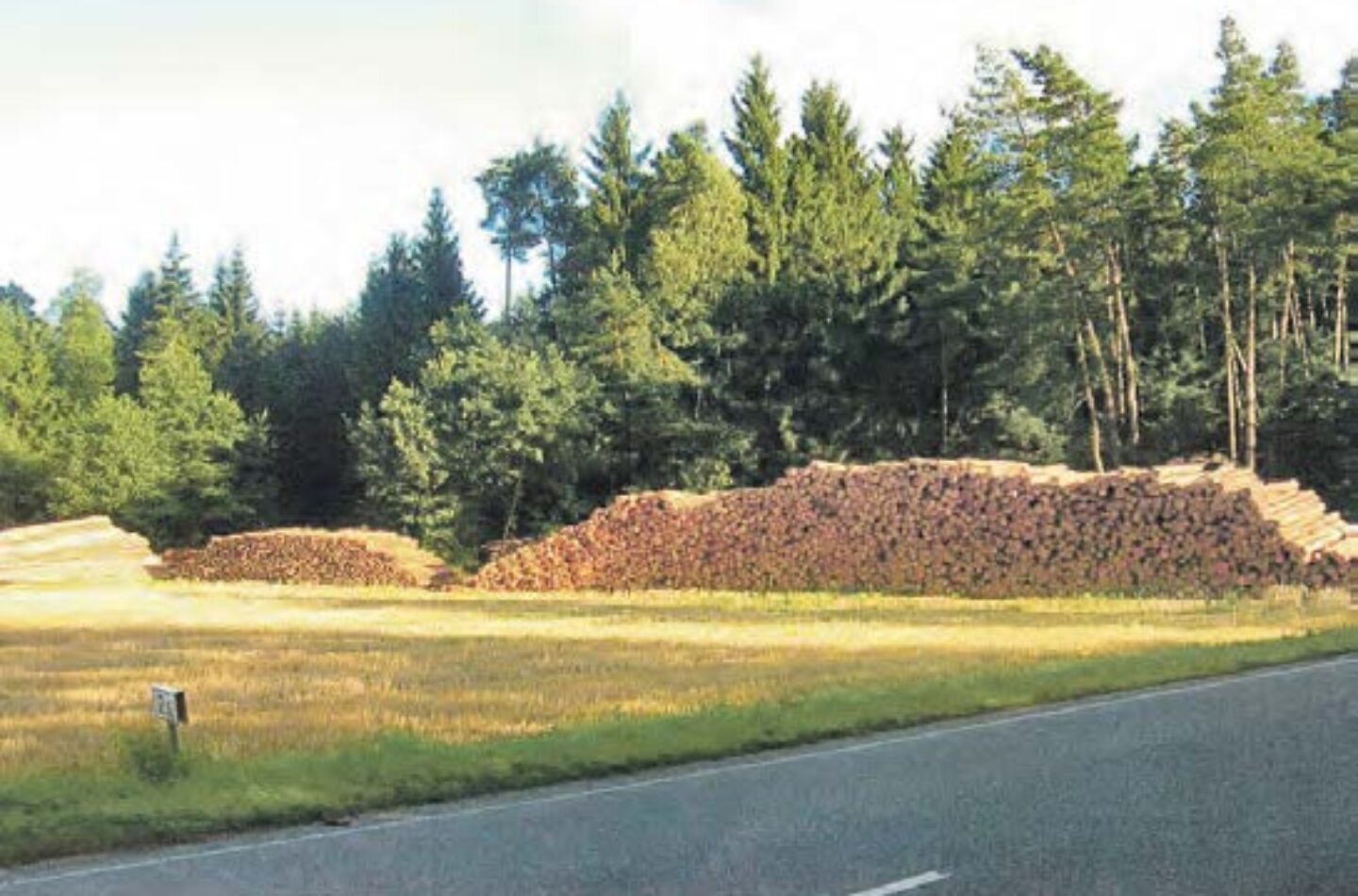 2008 hat die Firma Holz Reiter 1000 Festmeter Holz in der Gemarkung Neunkirchen „geerntet“. Foto: Konrad Schwemmer