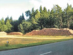 2008 hat die Firma Holz Reiter 1000 Festmeter Holz in der Gemarkung Neunkirchen „geerntet“. Foto: Konrad Schwemmer