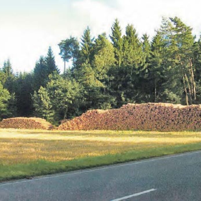 2008 hat die Firma Holz Reiter 1000 Festmeter Holz in der Gemarkung Neunkirchen „geerntet“. Foto: Konrad Schwemmer