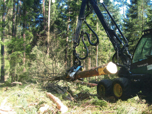 Schwemmer-Conny-2008-1