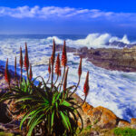 Bilder wie dieses, werden bei dem Multivisionsvortrag in Feucht gezeigt.