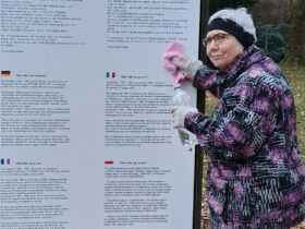 Inge Jablonski hat die stark verschmutzte Tafel an der Bocchetta-Skulptur im Hersbrucker Rosengarten kurzerhand selbst gereinigt.