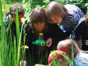 Hier beobachten die Kinder den Libellenschlupf.