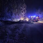 Umgestürzte Bäume sorgten für zahlreiche Einsätze im Landkreis.
