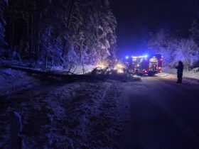 Umgestürzte Bäume sorgten für zahlreiche Einsätze im Landkreis.