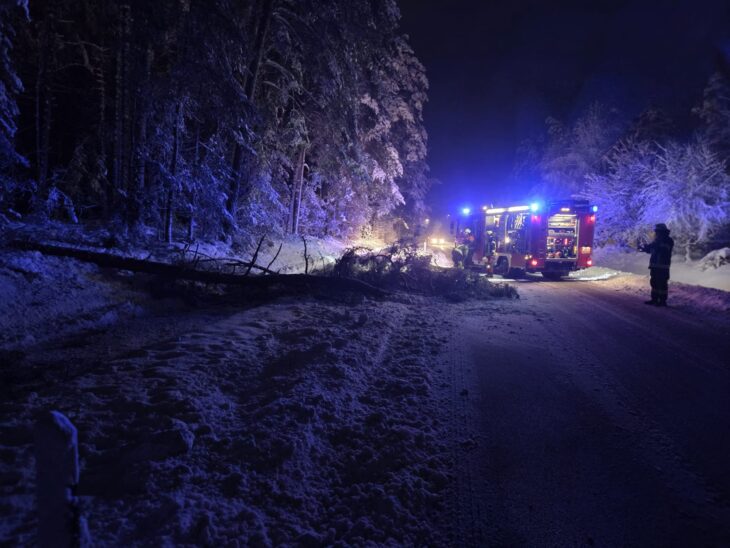 Umgestürzte Bäume sorgten für zahlreiche Einsätze im Landkreis.