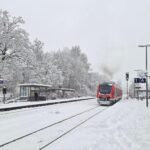 Bäume im Gleis blockieren am Dienstagmorgen die Bahnstrecken zwischen Nürnberg und Hersbruck, Neunkirchen und Simmelsdorf sowie Lauf und Hartmannshof.