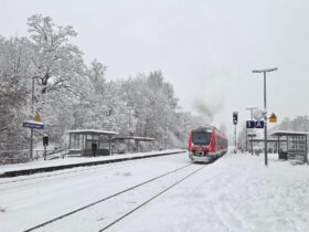 Bäume im Gleis blockieren am Dienstagmorgen die Bahnstrecken zwischen Nürnberg und Hersbruck, Neunkirchen und Simmelsdorf sowie Lauf und Hartmannshof.