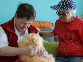 Beim Kuscheln mit KI-Katze Minka hebt sich der Gemütszustand merklich.