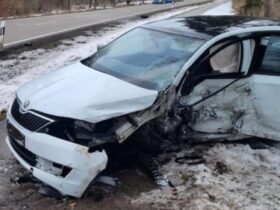 Ein 46-jähriger Skoda-Fahrer wurde beim Unfall schwer verletzt.