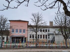 An der Altdorfer Grundschule müssen mehrere Bäume für den bevorstehenden Neubau weichen.