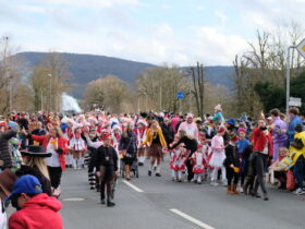 Der Närrschbrucker Rummzug hat am Dienstag Vorfahrt in Hersbruck. Hier ein Archivbild.