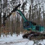 Sogenannte Stehendentnahmeharvester - wie dieser Impex Königstiger - sind in der Lage, die geschnittenen Bäume aus dem Bestand herauszuheben und auf die Rückegasse zu legen und arbeiten daher bodenschonender.