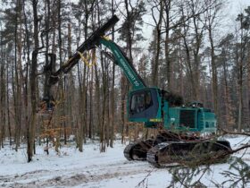 Sogenannte Stehendentnahmeharvester - wie dieser Impex Königstiger - sind in der Lage, die geschnittenen Bäume aus dem Bestand herauszuheben und auf die Rückegasse zu legen und arbeiten daher bodenschonender.