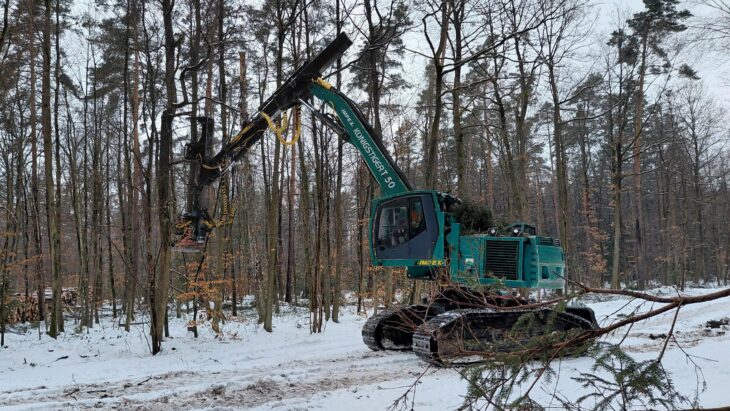 Sogenannte Stehendentnahmeharvester - wie dieser Impex Königstiger - sind in der Lage, die geschnittenen Bäume aus dem Bestand herauszuheben und auf die Rückegasse zu legen und arbeiten daher bodenschonender.
