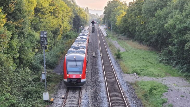 Die Strecke durch das Pegnitztal gehört zur letzten großen „Dieselinsel“ in Europa. Doch die Elektrifizierung schieben die Verantwortlichen seit Jahrzehnten vor sich her.