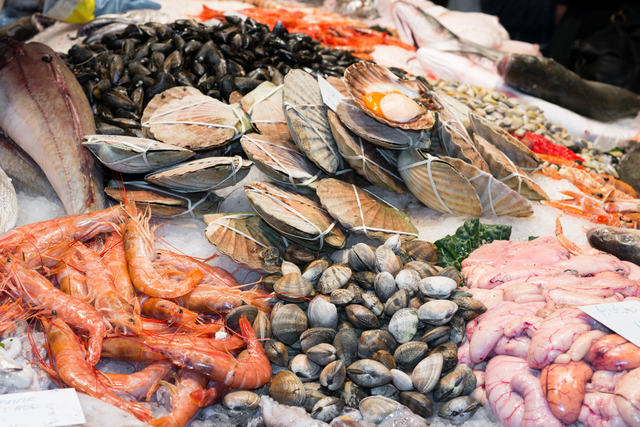 Laufer Fischtage