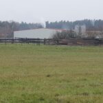 Blick auf die potenzielle Erweiterungsfläche am südlichen Rand des Diepersdorfer Gewerbegebiets im Anschluss an die Reitanlage, gegenüber den Scherauer Weihern. Eine Erschließung wäre laut Gemeinde über die Industriestraße möglich.