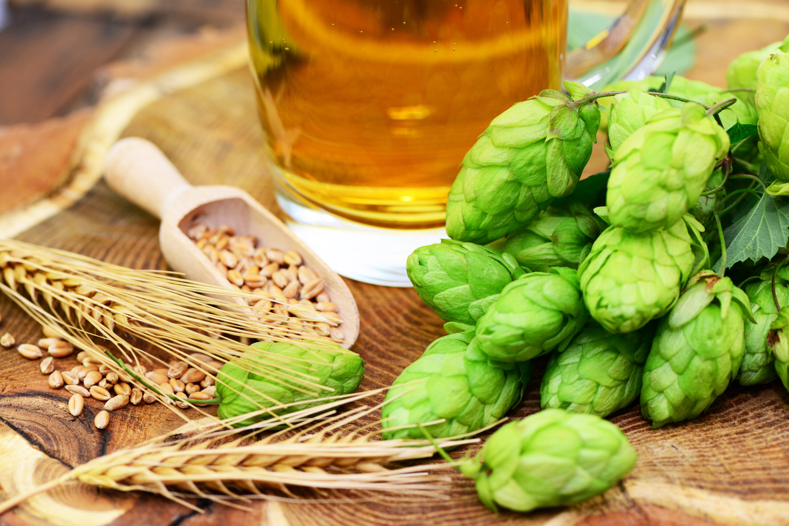 Hopfenwochen