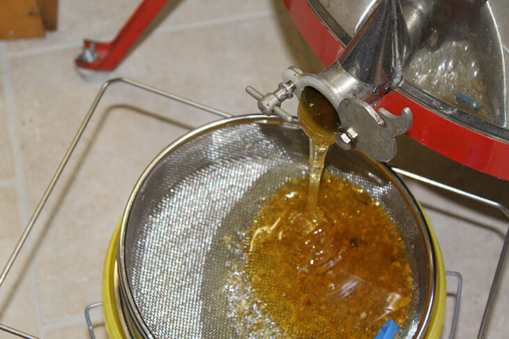 Unter anderem wird regionaler Honig von der Imkerei „Das Bienenkörbchen“ angeboten.