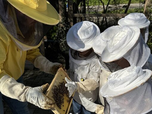 Auf dem Foto sieht man 3 Personen im Imkeranzug und einen Bienenkasten.